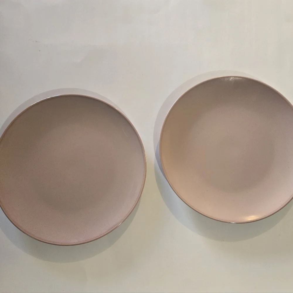 Set of Two Pink Dinner Plates